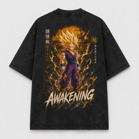 Awakening - Gohan, Amber Aura and Violet Gi